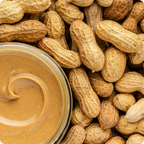 Is Peanut Butter Actually Safe for Your Dog?
