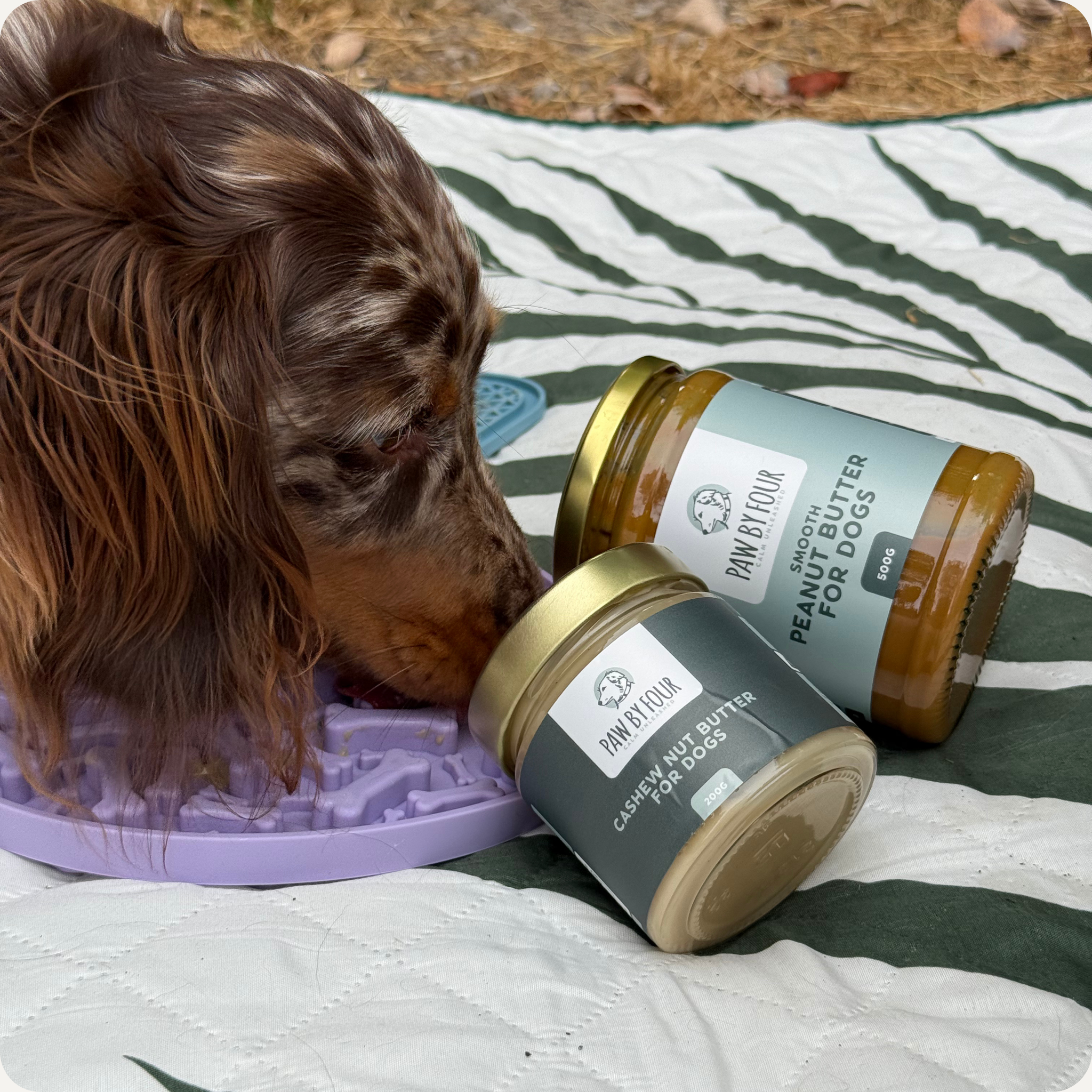 Nut Butters for Dogs