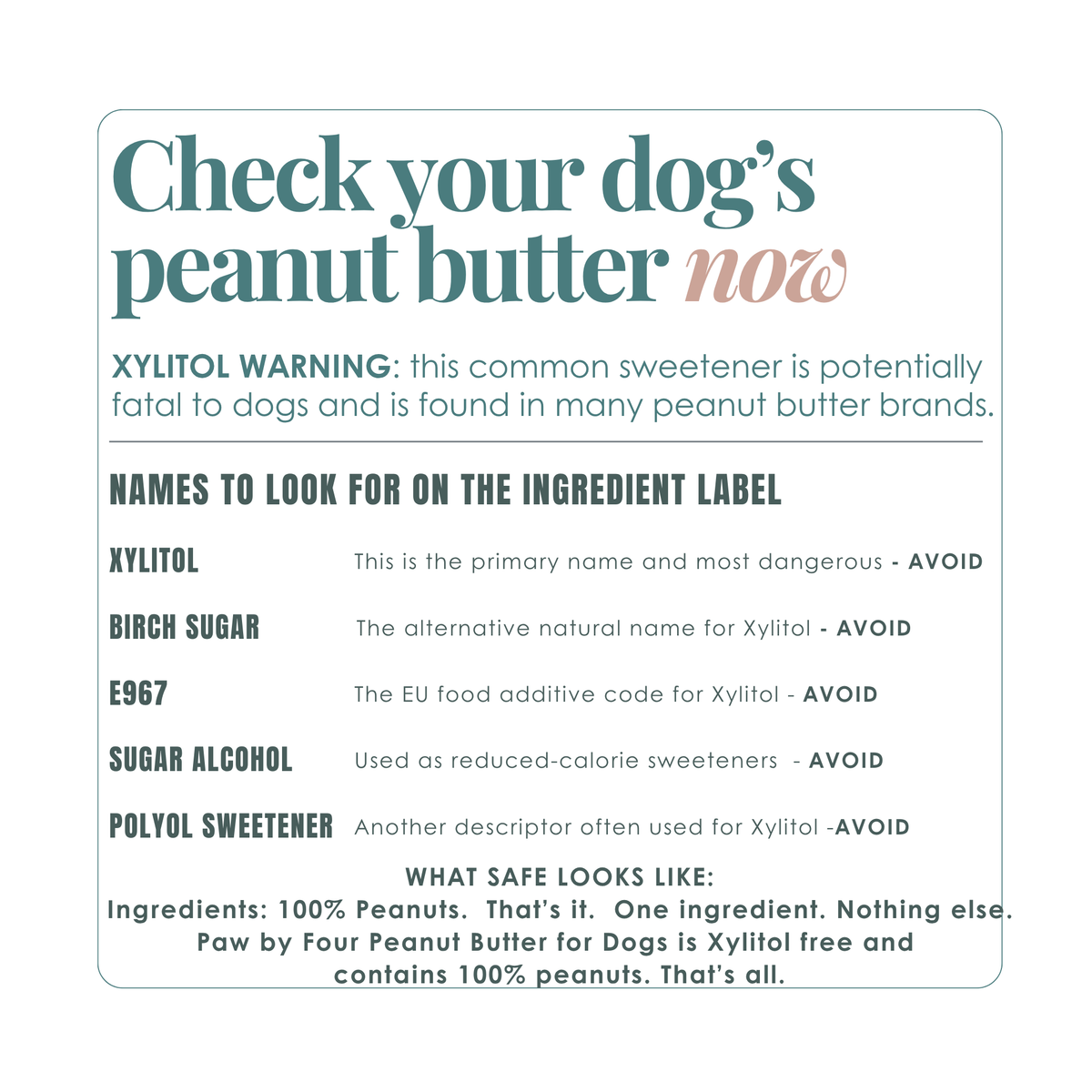 Informational graphic about xylitol in peanut butter for dogs on a white background