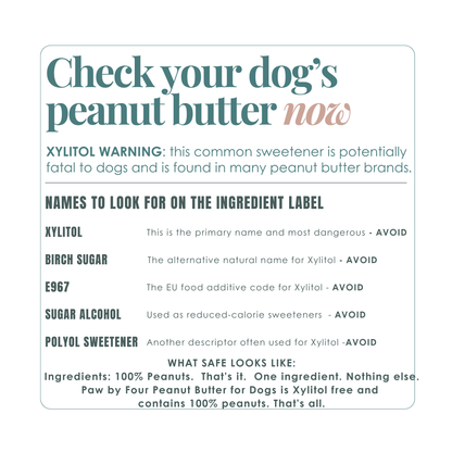 Informational graphic about xylitol in peanut butter for dogs on a white background