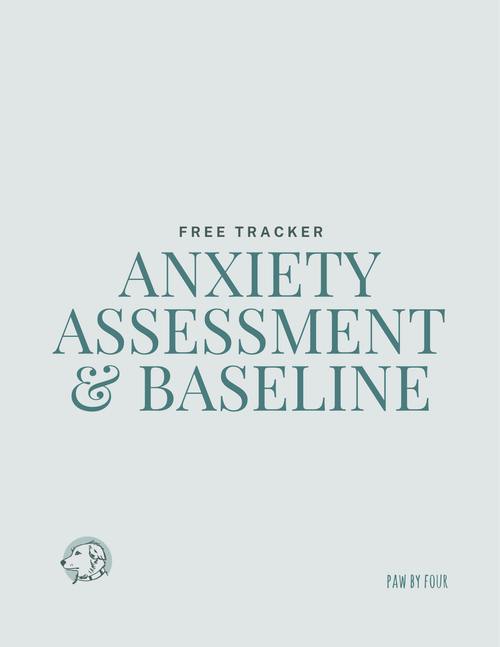 Dog Anxiety Assessment & baseline