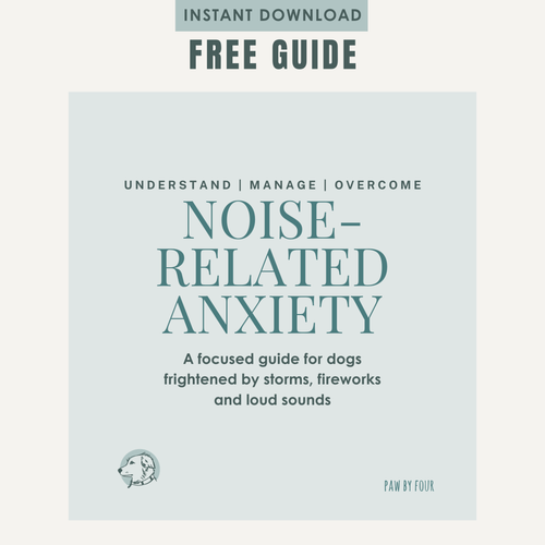 Noise-Related Anxiety