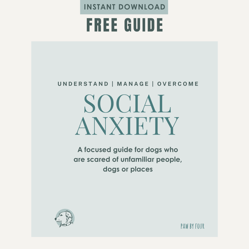 social anxiety
