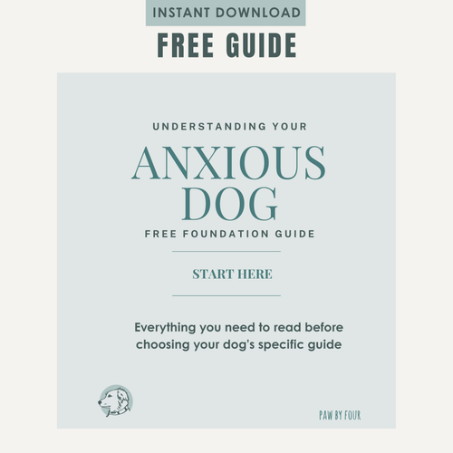 understanding your anxious dog