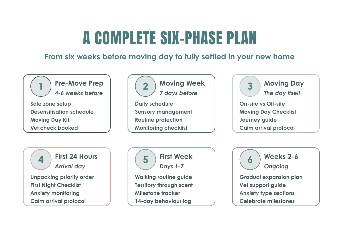 Six-phase plan for moving into a new home with an anxious dog with step-by-step instructions.
