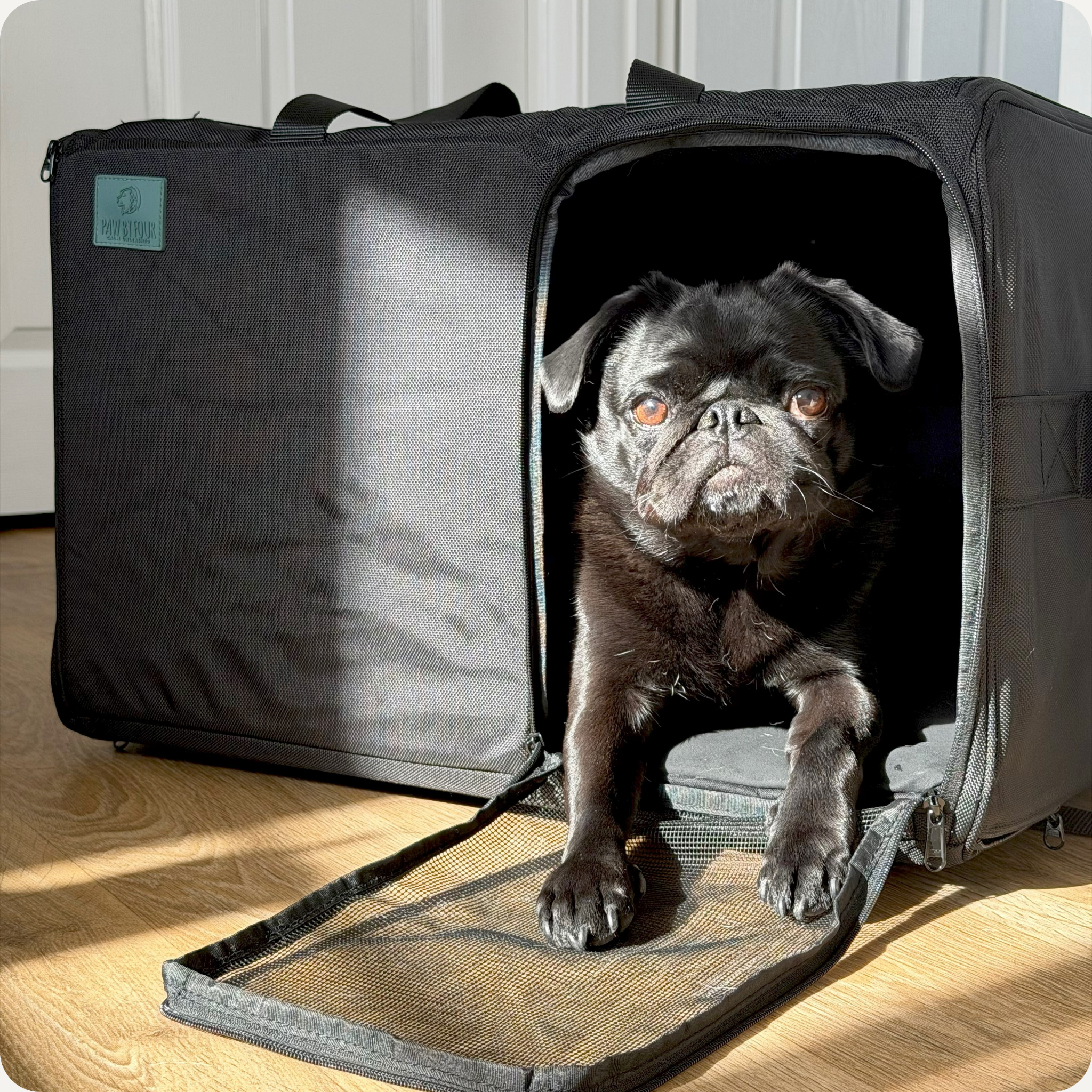 KalmDen Sound-absorbing Pet Carrier