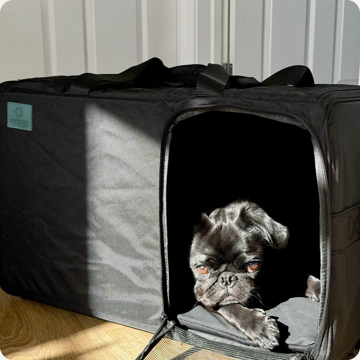 KalmDen | Sound-Absorbing Pet Carrier for Travel Anxiety