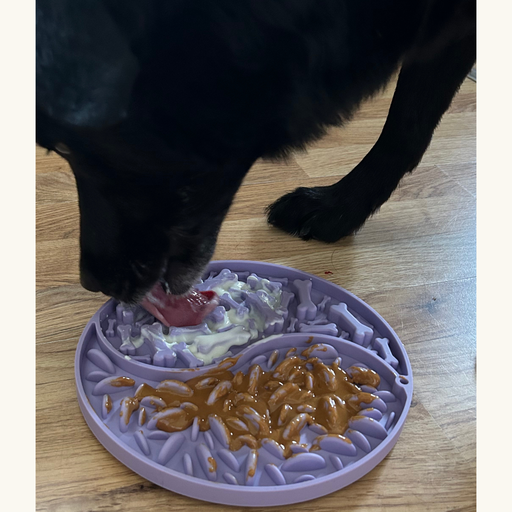 Black dog, Ava, licking a lilac silicone lick mat spread with peanut butter and yoghurt on a wooden floor