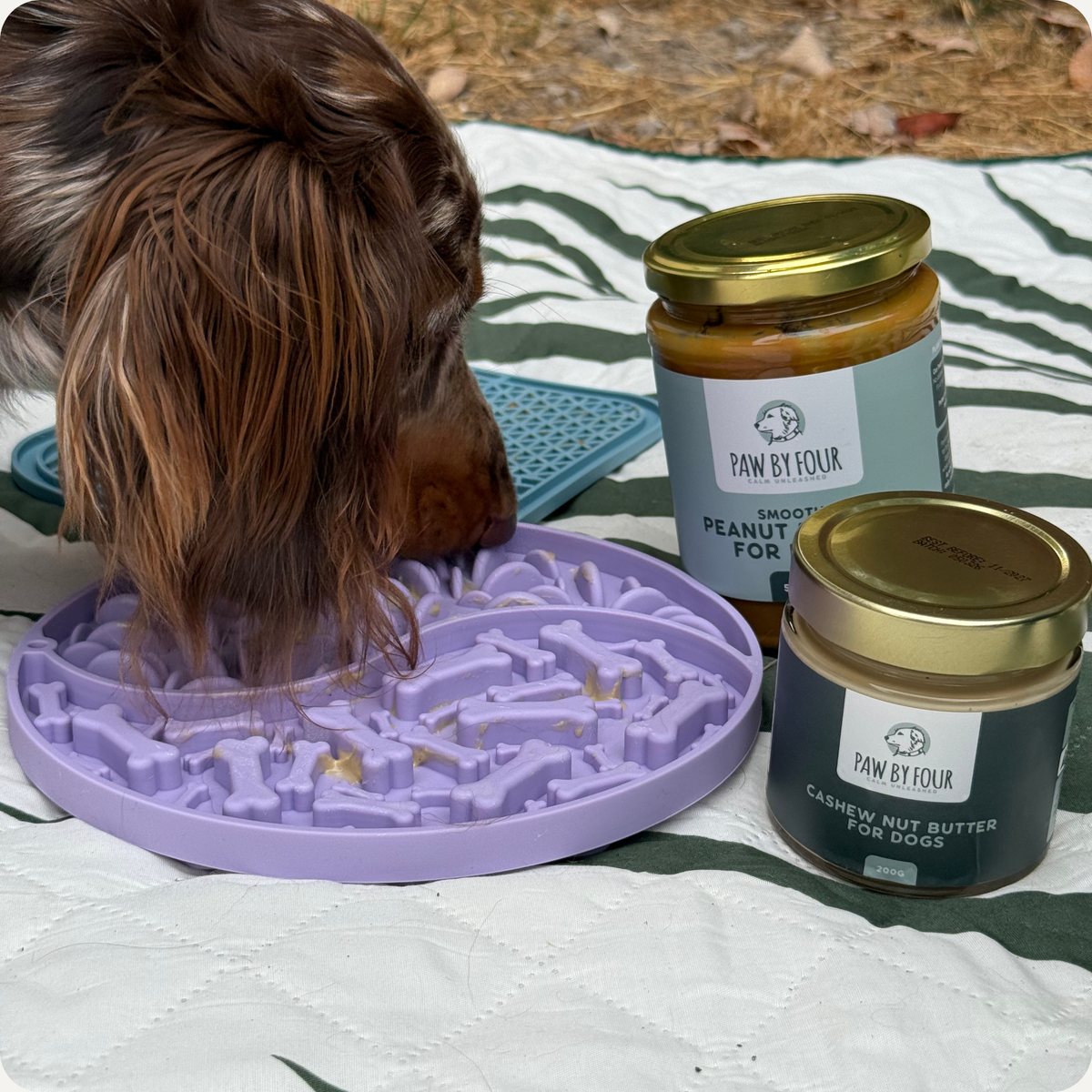 The Everyday Calm Kit | Steady Eddie Lick Mat, Peanut & Cashew Butters + Travel Buddy Lick Mat