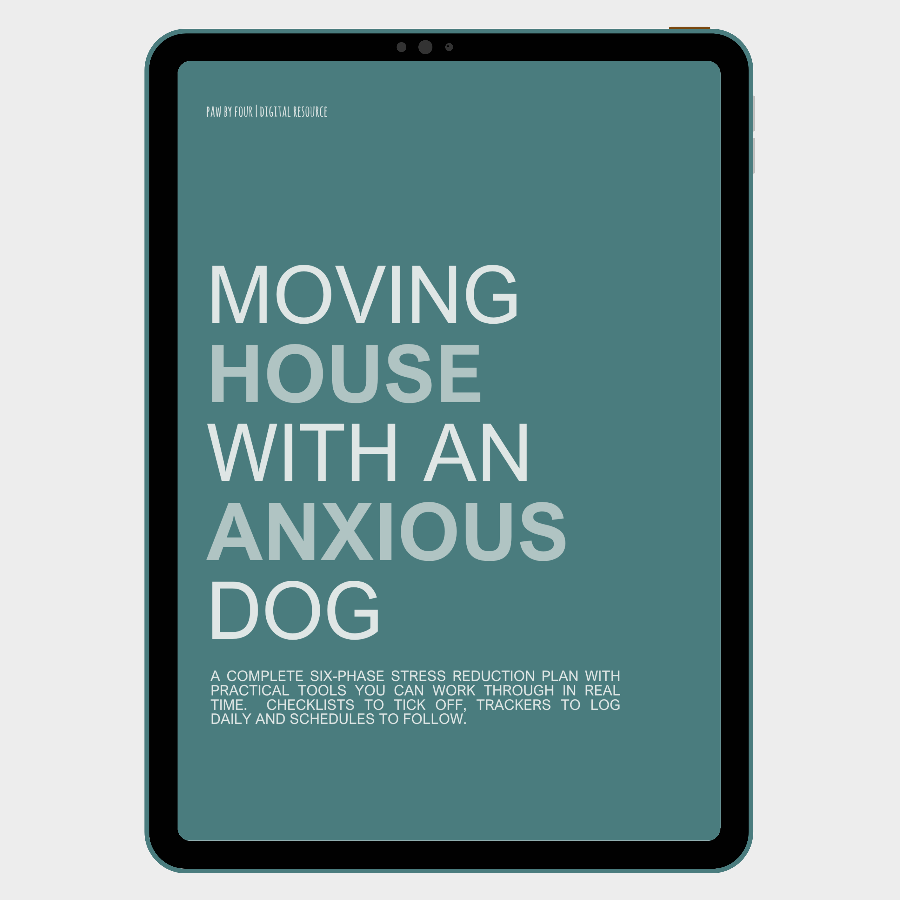 Moving House with an Anxious Dog | A Complete Six-Phase Stress Reduction Plan