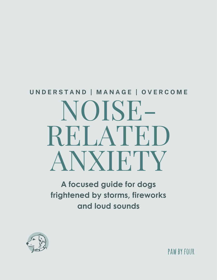 NOISE-RELATED ANXIETY - A PRACTICAL PLAN TO GRADUALLY MAKE THEM FEEL SAFER