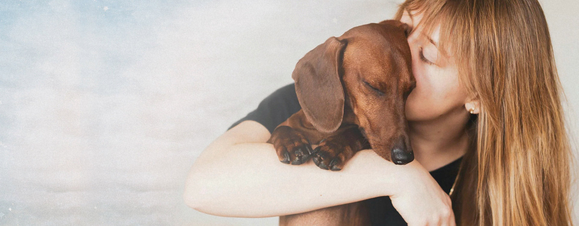 Woman kissing a dachshund on a light gray background