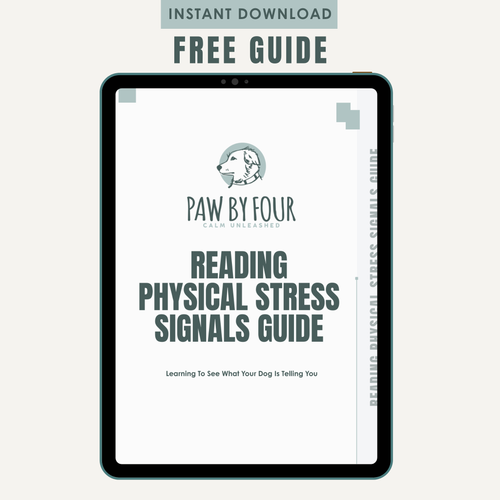 Physical Stress Signals Anxiety Guide
