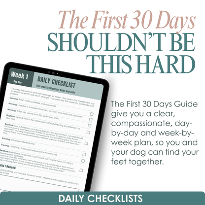 Digital tablet displaying a daily checklist with text about a guide for the first 30 days with a dog by Paw by Four.