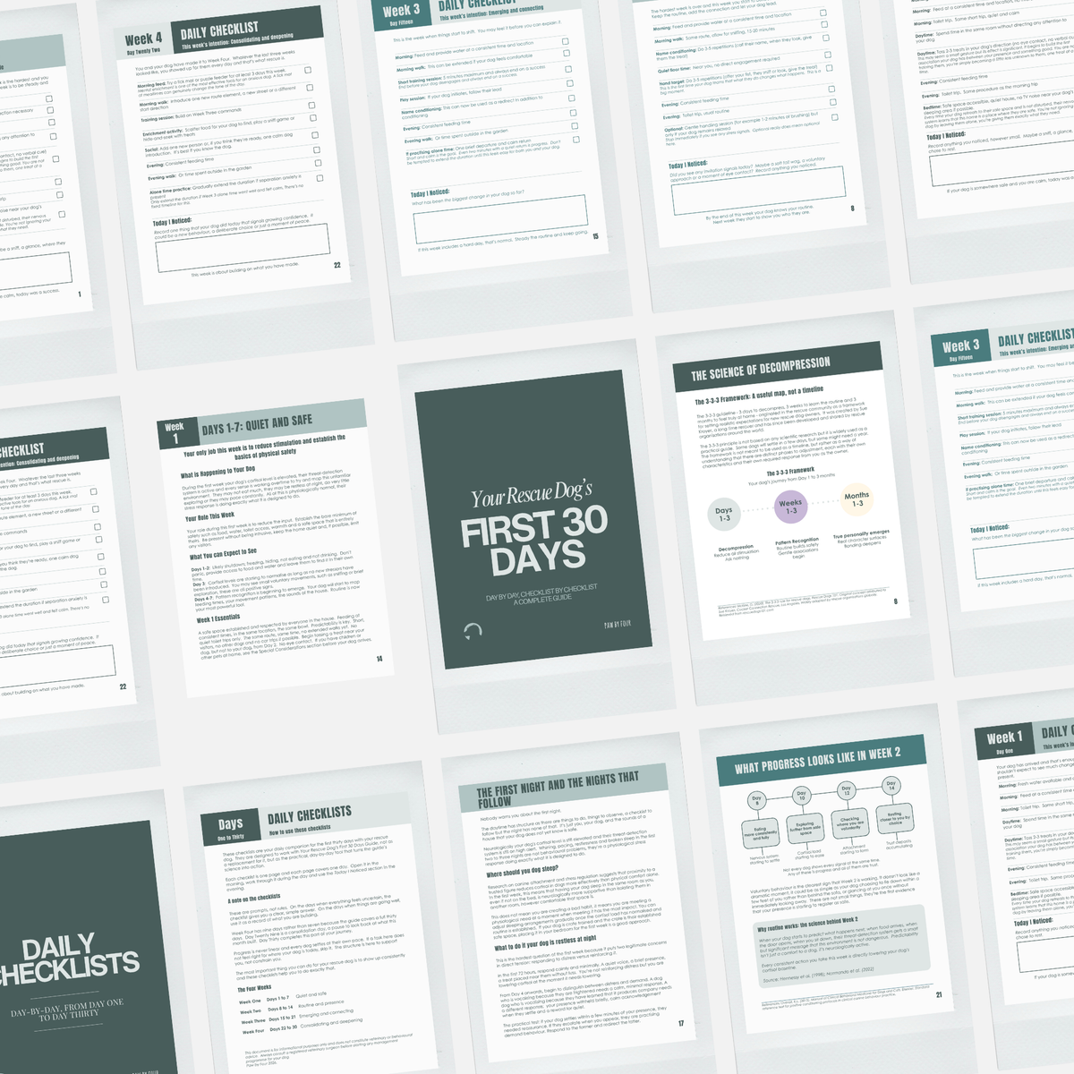 Collection of printed pages with text and headings from Paw by Four's Your Rescue Dog's First 30 Days Guide on a white background