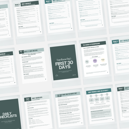 Collection of printed pages with text and headings from Paw by Four's Your Rescue Dog's First 30 Days Guide on a white background