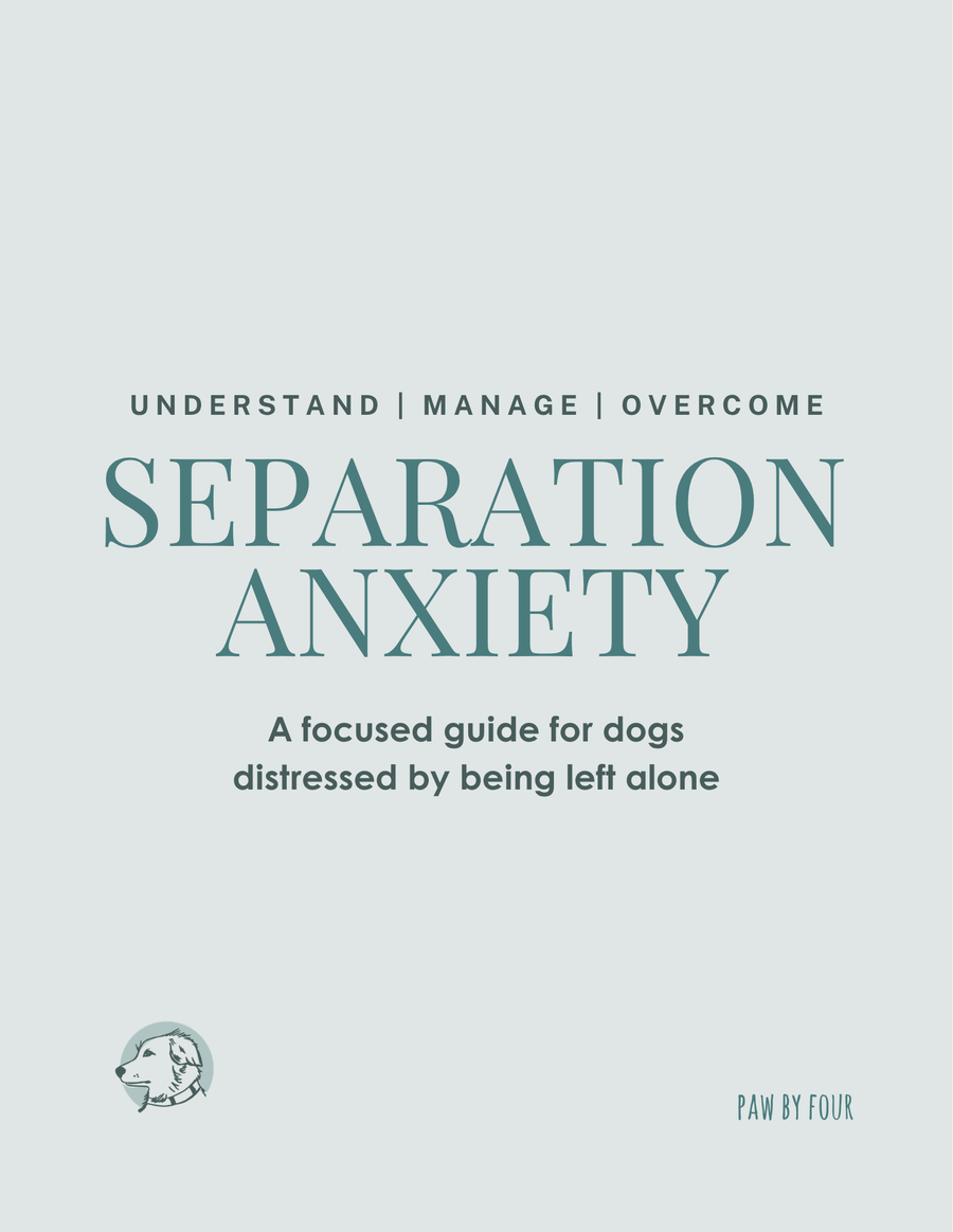 SEPARATION ANXIETY - FOR DOGS DISTRESSED WITH BEING LEFT ALONE