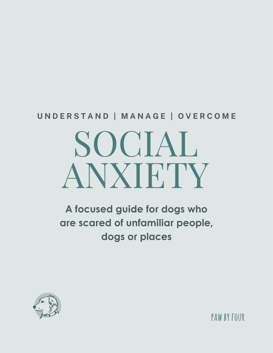 SOCIAL ANXIETY - UNDERSTAND WHAT IS BEHIND THE FEAR