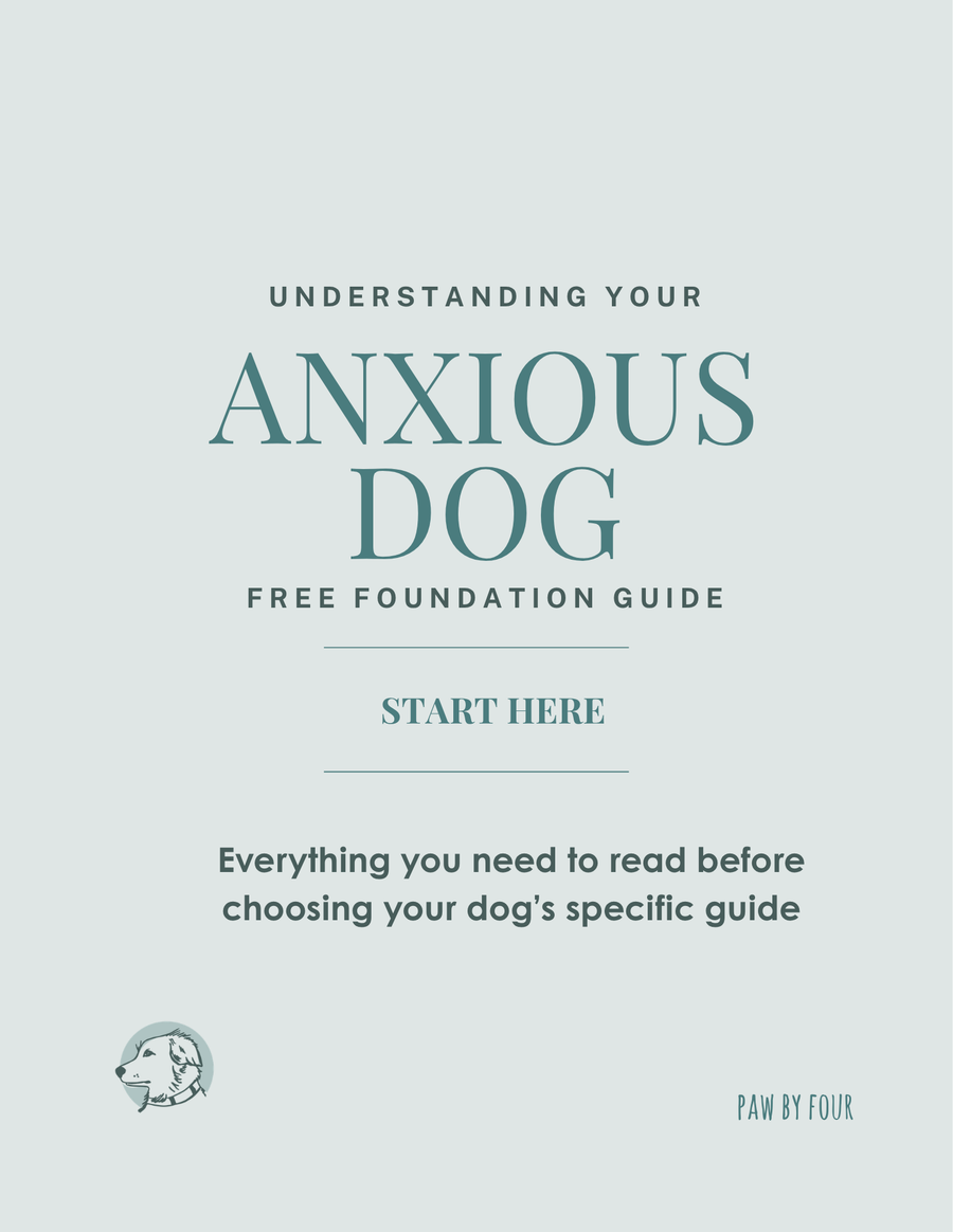 UNDERSTANDING YOUR ANXIOUS DOG - START HERE