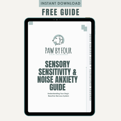 Sensory Sensitivity & Noise Anxiety Guide