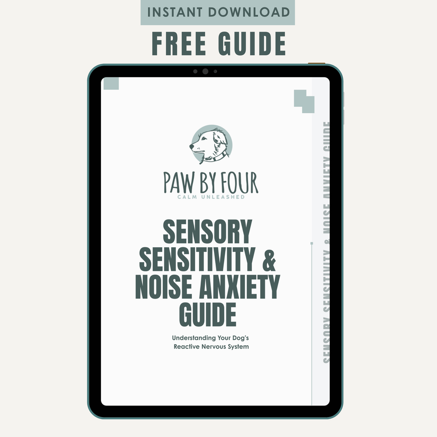 Sensory Sensitivity & Noise Anxiety Guide
