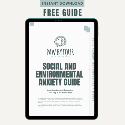 Social and Environmental Anxiety Guide