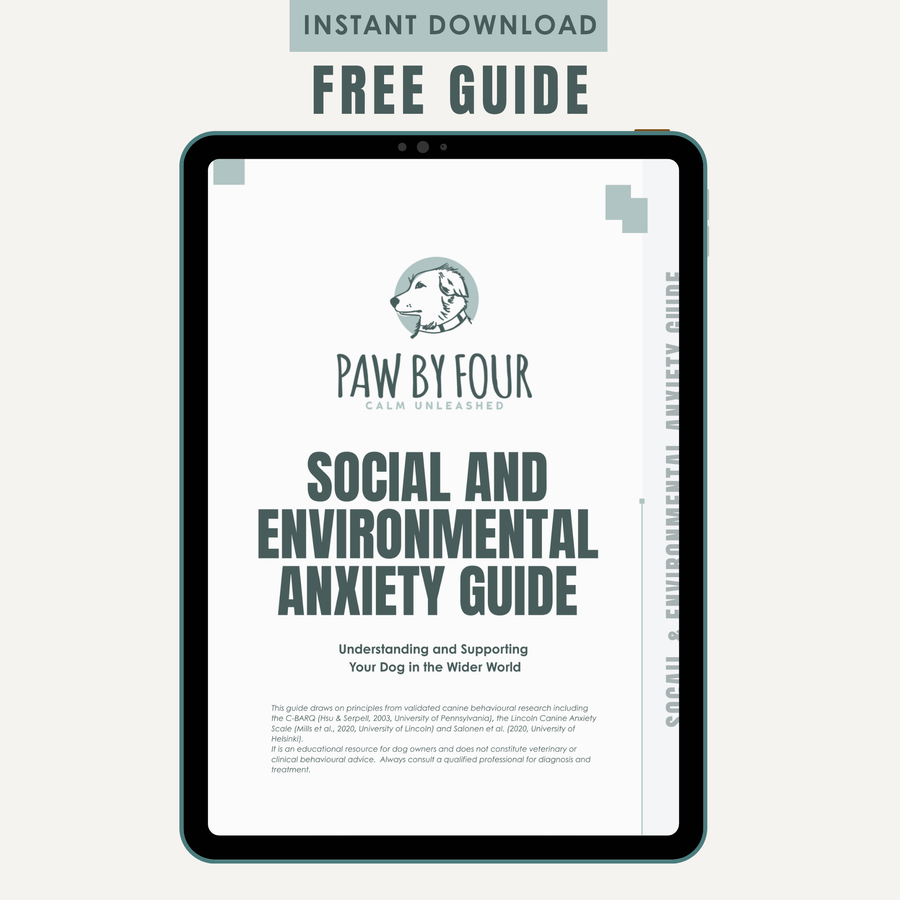 Social and Environmental Anxiety Guide