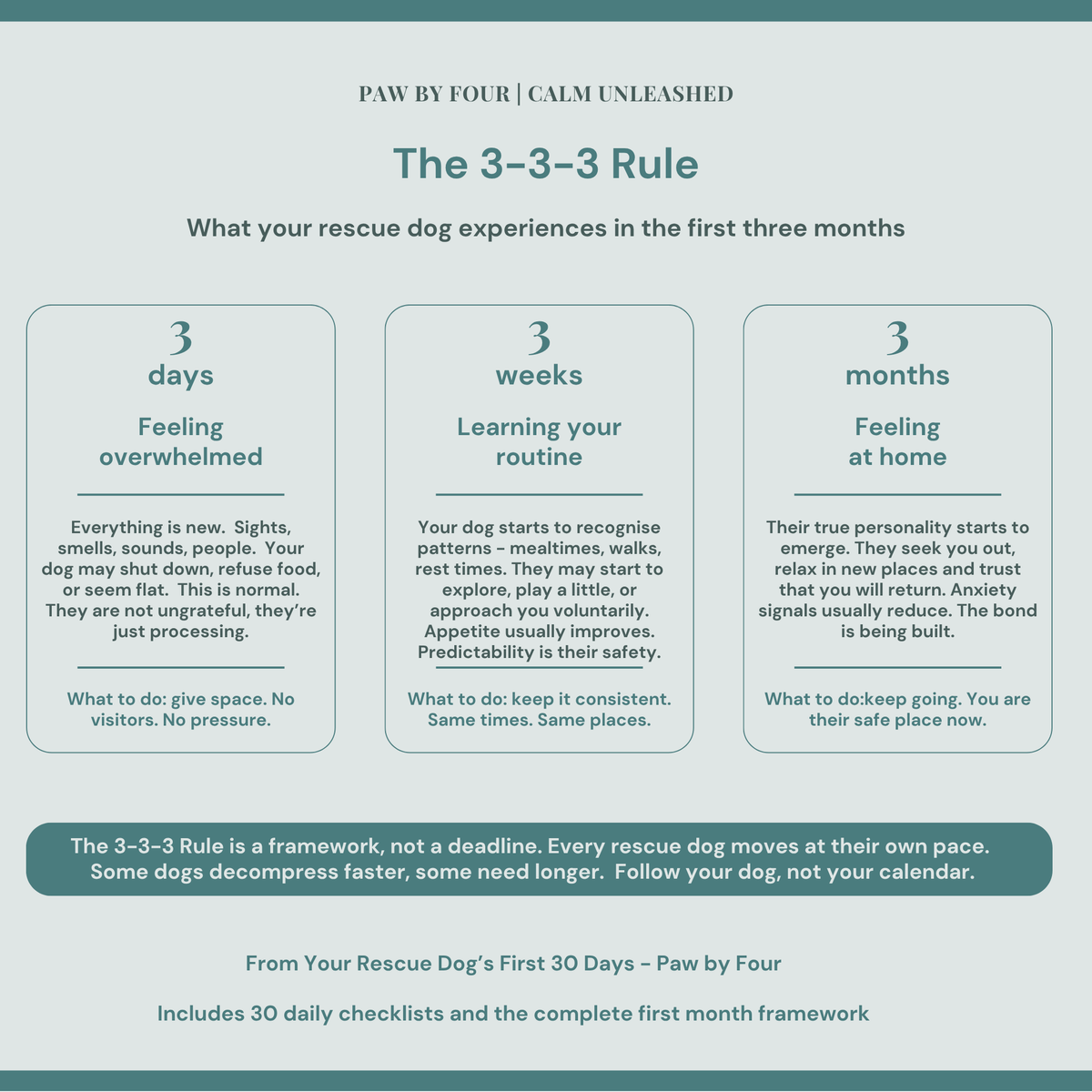 Diagram explaining the 3-3-3 Rule for rescue dogs' first three months with text and bullet points.
