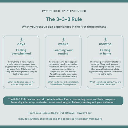Diagram explaining the 3-3-3 Rule for rescue dogs' first three months with text and bullet points.