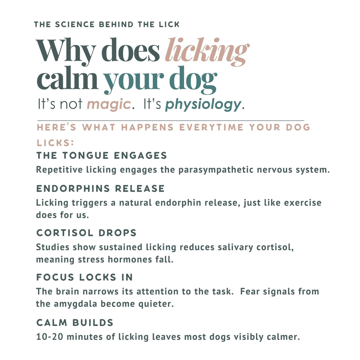 An information sheet on why licking calms your dog on a white background