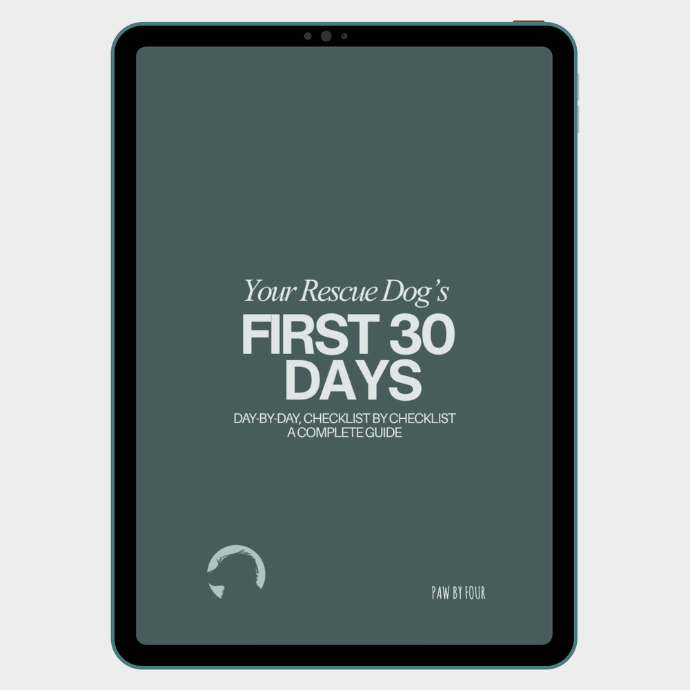 Digital book cover titled 'Your Rescue Dog's First 30 Days' on a tablet screen.