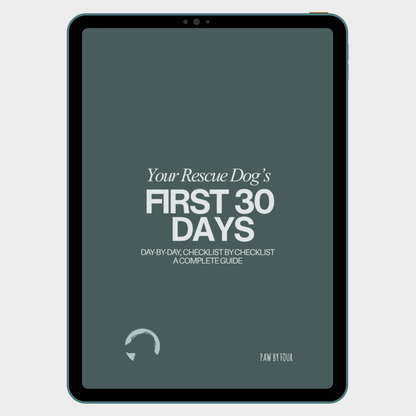 Digital book cover titled 'Your Rescue Dog's First 30 Days' on a tablet screen.