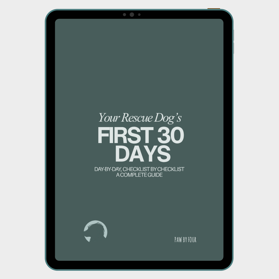 Digital book cover titled 'Your Rescue Dog's First 30 Days' on a tablet screen.