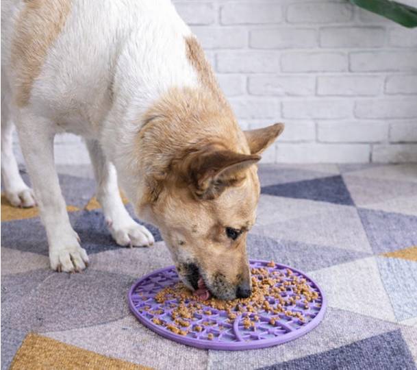 Lick Mats & Enrichment